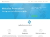Website Promotion Services